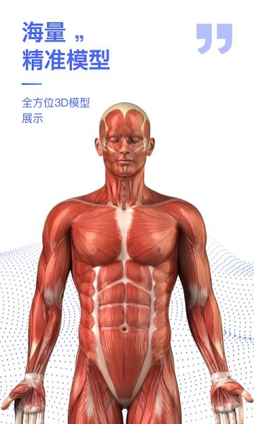 解剖学图谱
