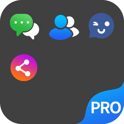 双开空间专业版(DualSpace pro)