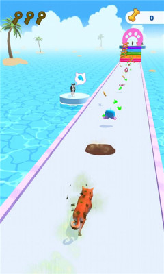 宠物美容赛跑 宠物美容赛跑