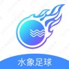 水象足球