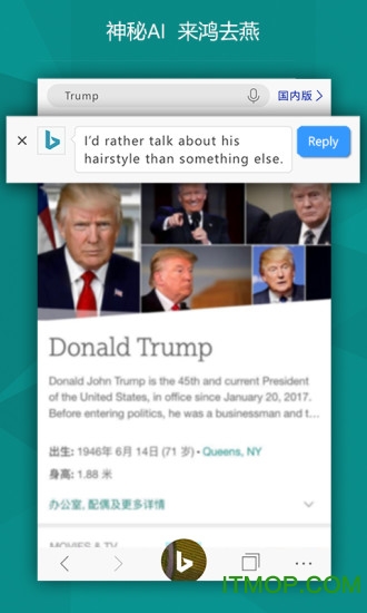 微软必应Microsoft Bing Search