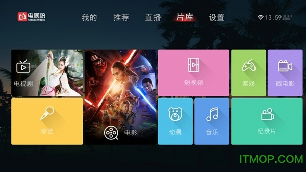 电视粉