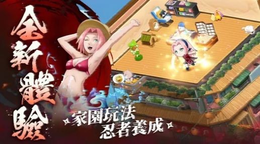 忍者傳說：新世代