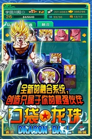 口袋龙珠 口袋龙珠