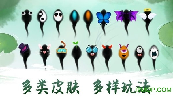 墨虾探蝌