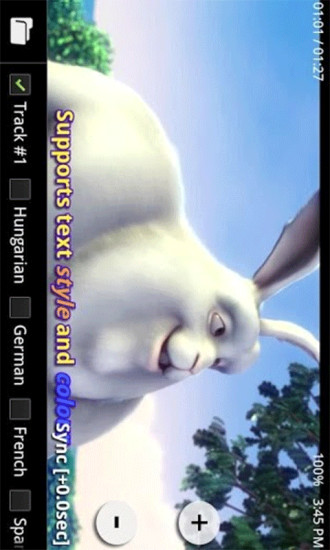 MX Player Codec (ARMv6 VFP)