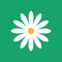 花帮主
