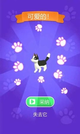 穿我的新衣