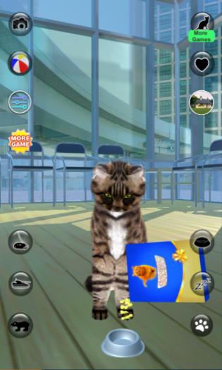 会说话的现实猫app
