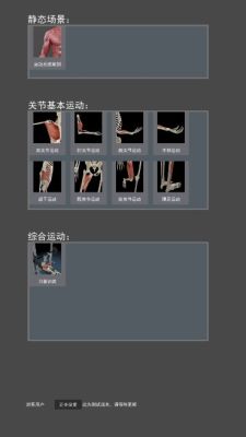 3D动态解剖