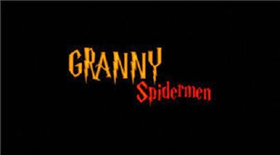蜘蛛侠奶奶2app