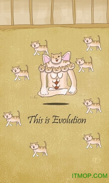 小猫进化大派对 小猫进化大派对