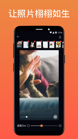 pixaloop软件免费版