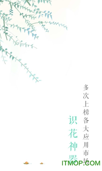 形色