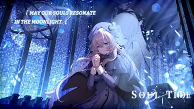 Soul Tide安装器