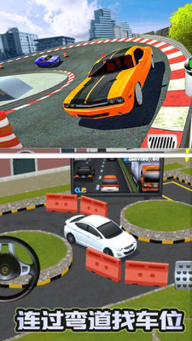 停车大师3d 停车大师3d