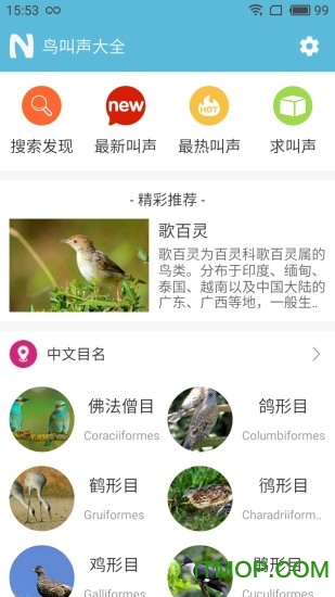 画眉鸟叫声大全 画眉鸟叫声大全