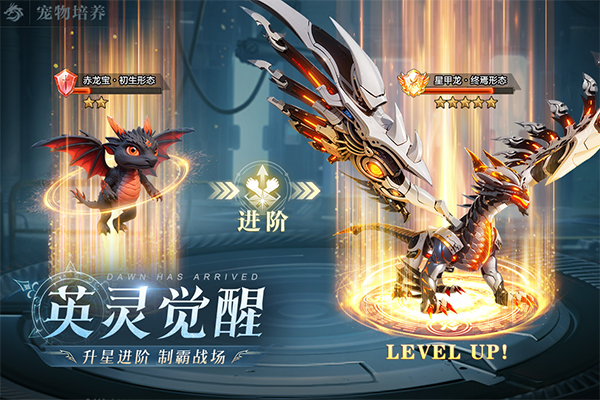 黎明之塔官方正版