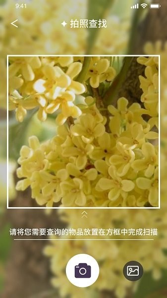 我的开心花园