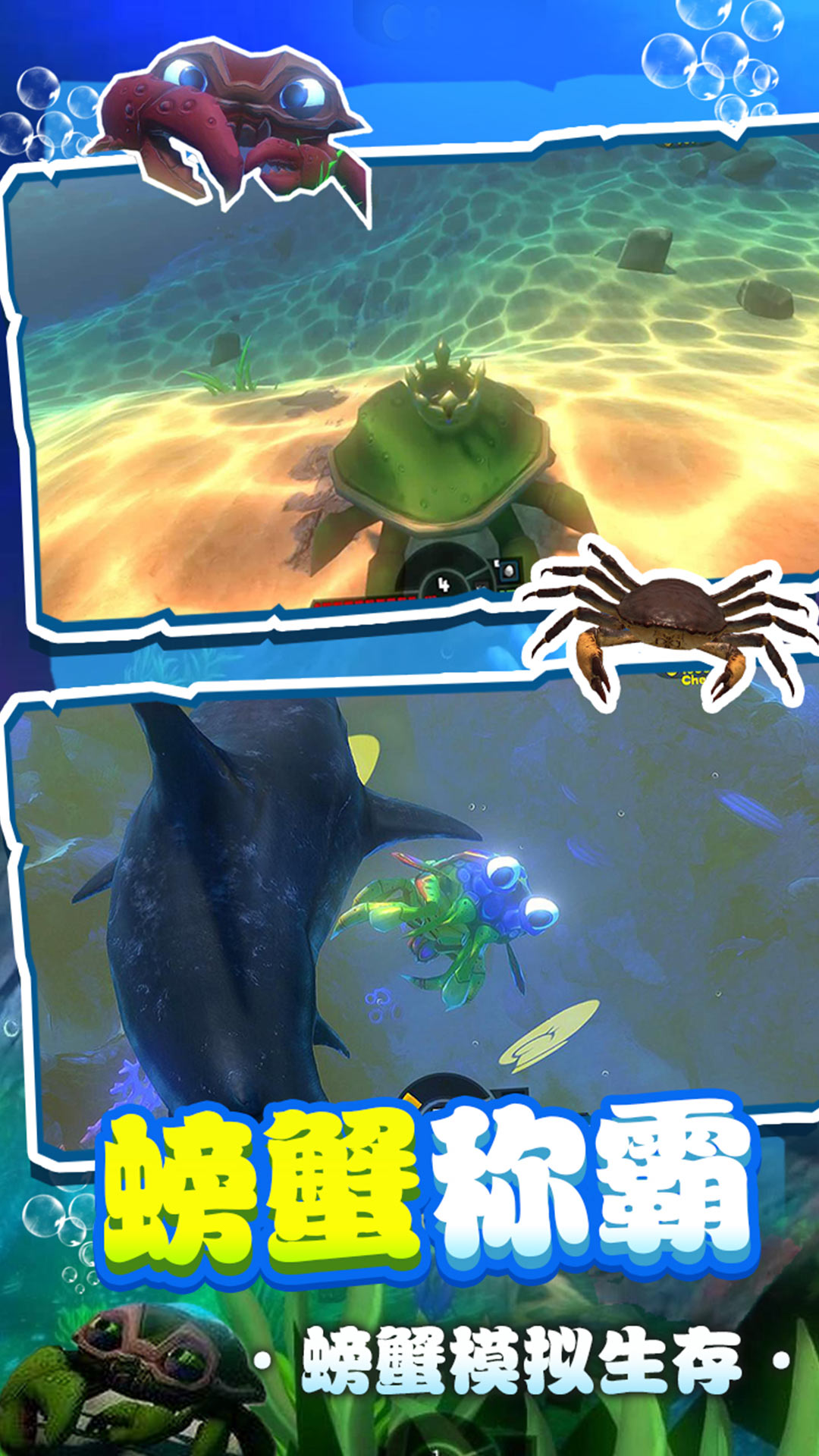 海底寻宝记 海底寻宝记