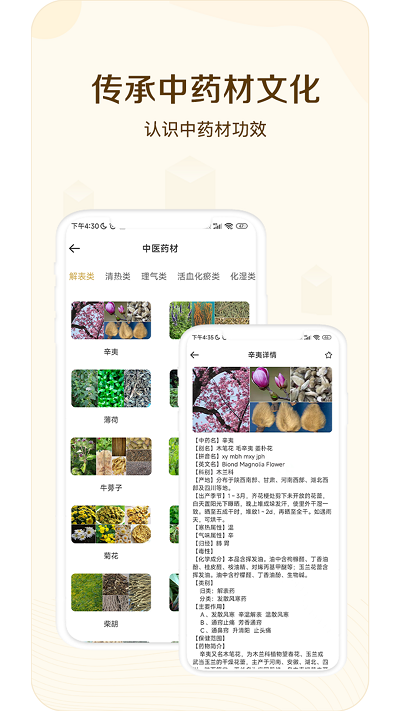 经络穴位指南 经络穴位指南