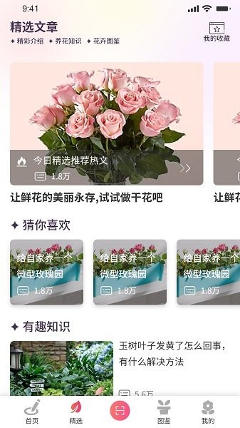 我的开心花园