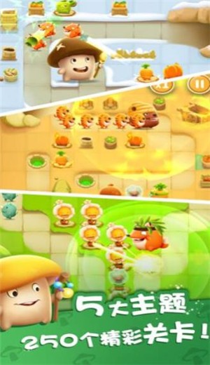 别动我的蘑菇 别动我的蘑菇