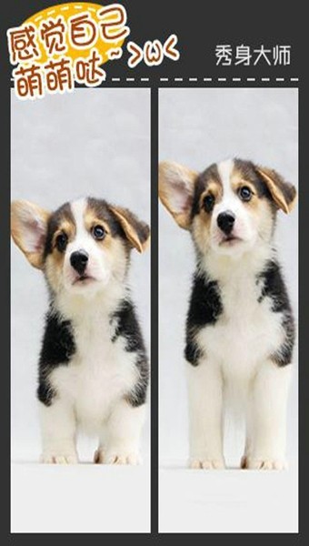 秀身大师 秀身大师