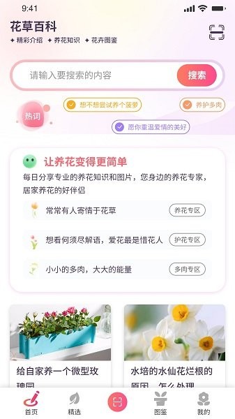 我的开心花园