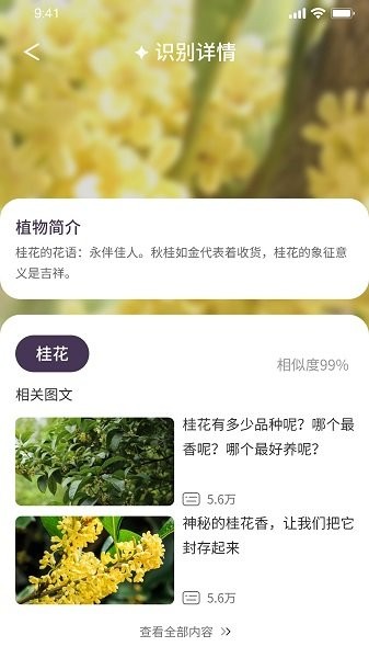 我的开心花园