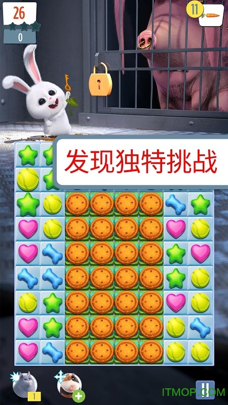 萌宠释放