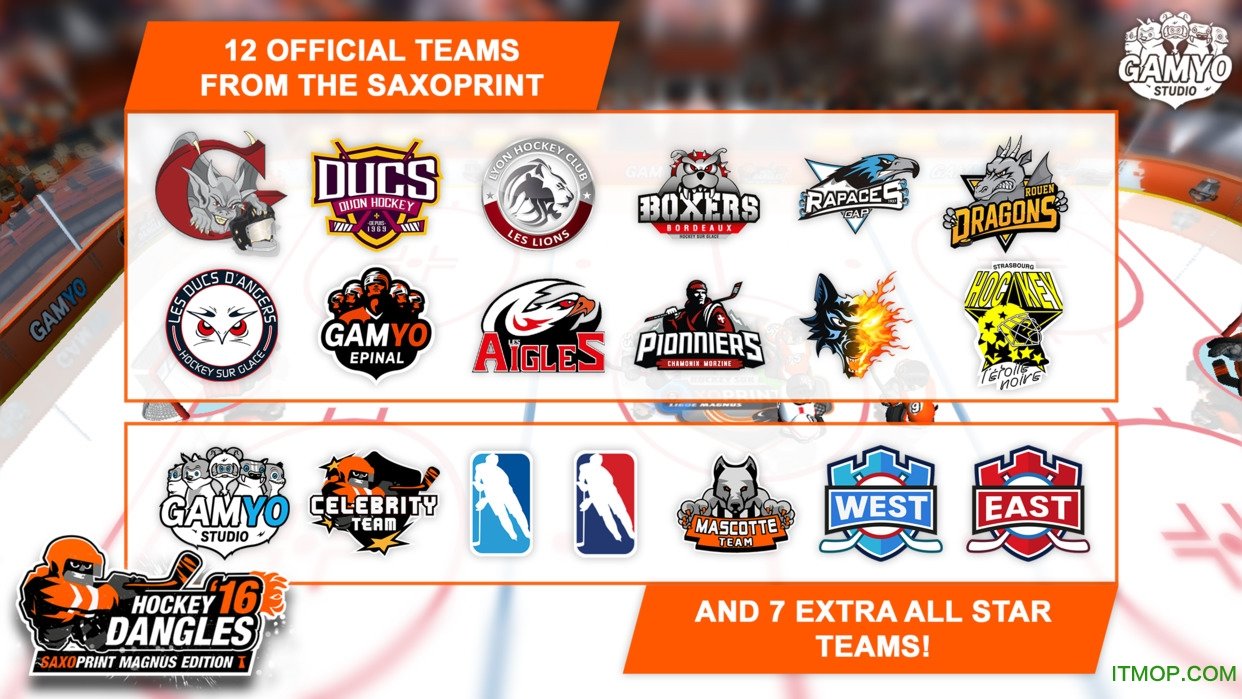 Hockey Dangles Hockey Dangles