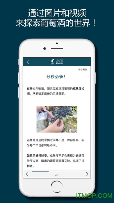 掌上波尔多