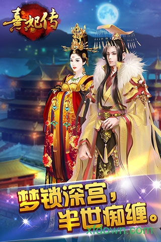 熹妃传快用版