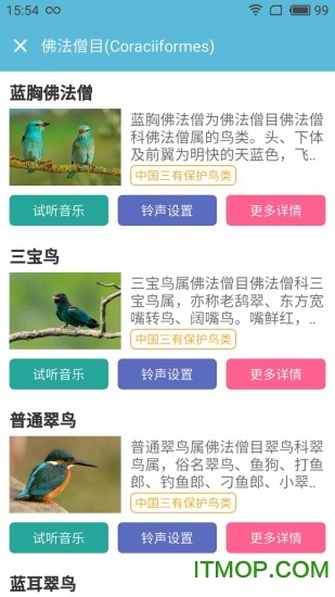 画眉鸟叫声大全 画眉鸟叫声大全