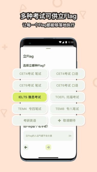 flaget(计划任务管理) flaget(计划任务管理)