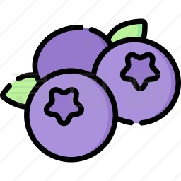 蓝莓音乐极速版 1.0