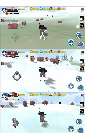 胖乎乎的哈士奇 胖乎乎的哈士奇
