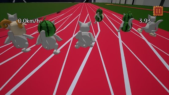 小猫短跑比赛 小猫短跑比赛