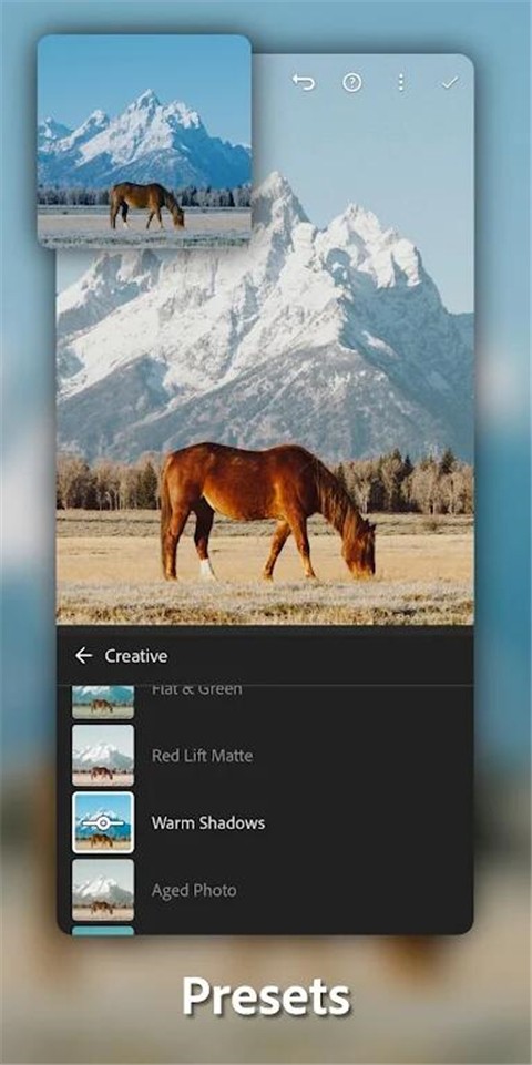 lightroom 手机版下载官方正版