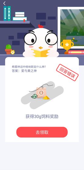小鸡农场 小鸡农场