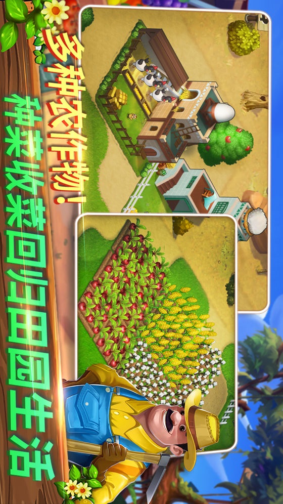 西域小镇