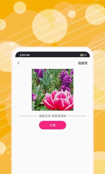 动图表情包