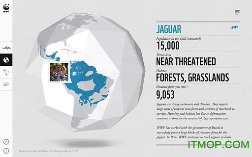 WWF Togethe(野生动物折纸) WWF Togethe(野生动物折纸)