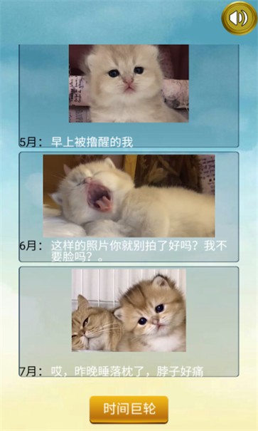 猫的一生重启模拟器