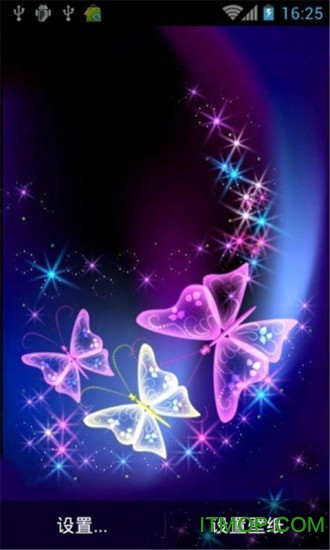 梦幻紫蝶动态壁纸 梦幻紫蝶动态壁纸