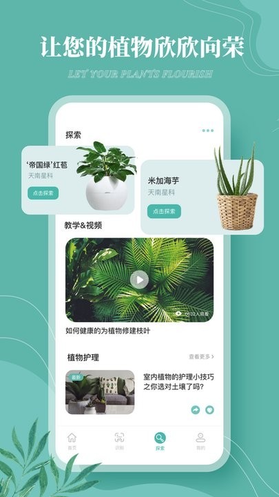 花草录