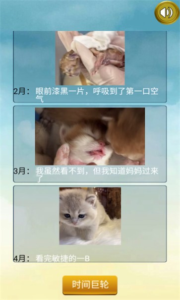 猫的一生重启模拟器