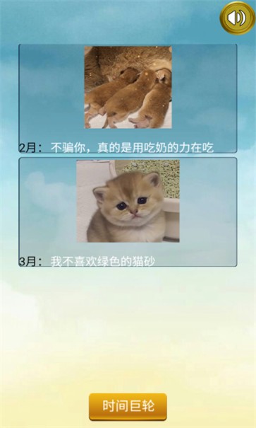 猫的一生重启模拟器