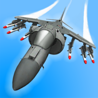 Air Force
